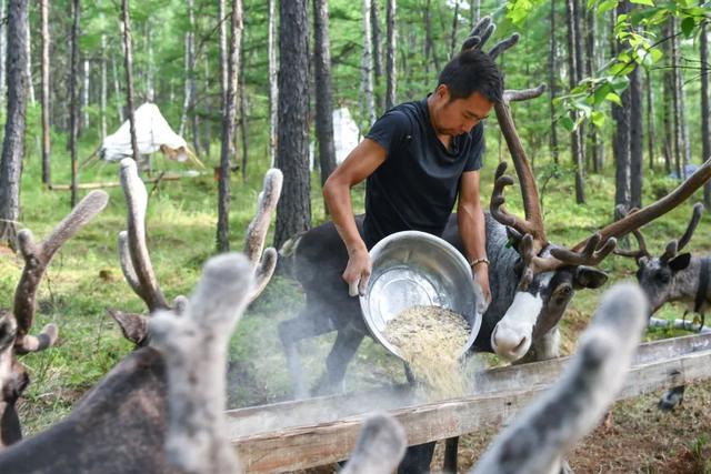 走出山林奔小康 鄂温克族迎来新生活