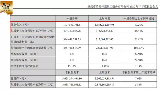 咸菜如何翻身成为10倍超级大牛股，涨幅超茅台？| 艾问人物