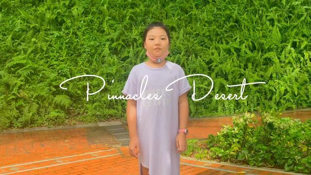 周末溜娃记，#新加坡 福康宁公园⛲️