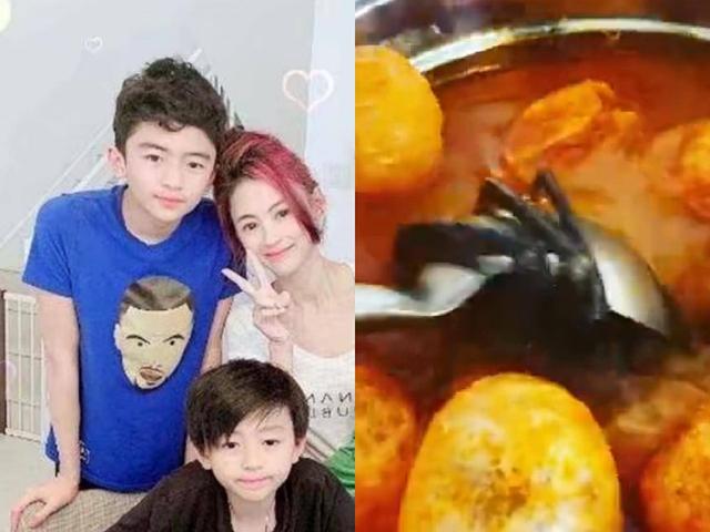 张柏芝下厨为儿子做美食，动作娴熟被赞专业，宣布封肚陪伴三子
