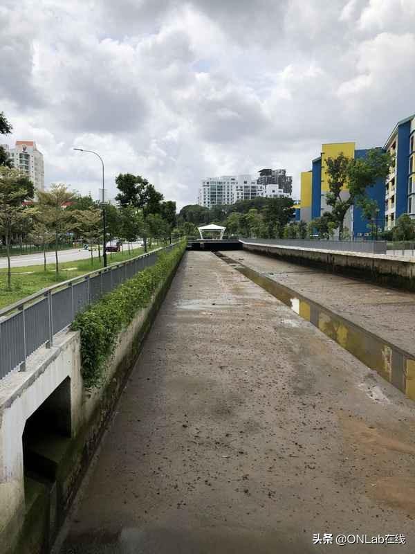 新加坡的日常景观