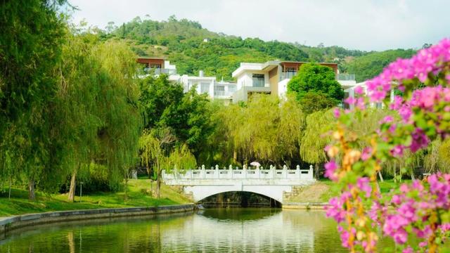 开漳圣王文化：连接海内外 血缘根亲纽带