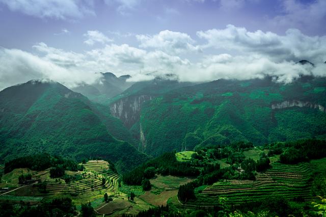 中林集团：加快推进生态产业建设 将亮丽业绩写在美丽中国大地上