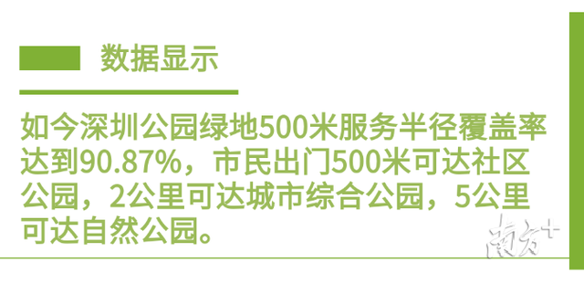 特区风华㉒|公园从2个到千个，身边就是诗意与远方