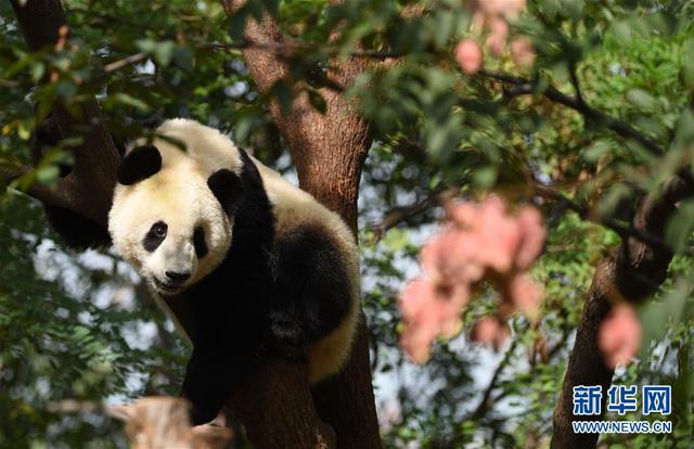 多样地球 美丽世界