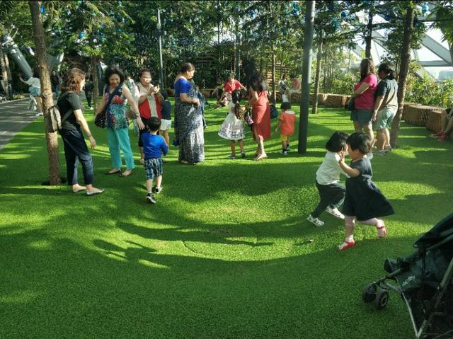 新加坡樟宜机场——林下空间