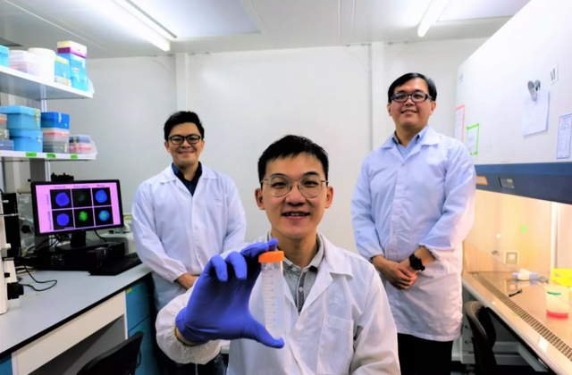科学家使用新方法将纳米颗粒转变为导致癌细胞自毁的“特洛伊木马”