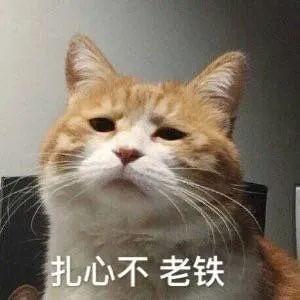 你有没有什么从不上架的书？