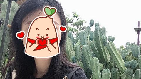 新加坡旅游，注意事项。