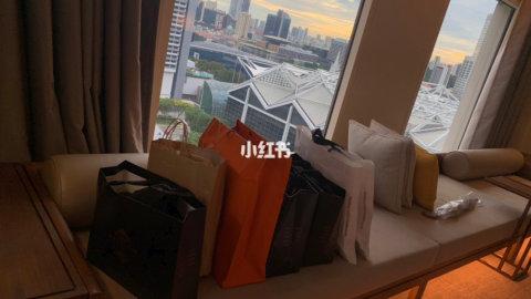 新加坡旅游必买单品之一