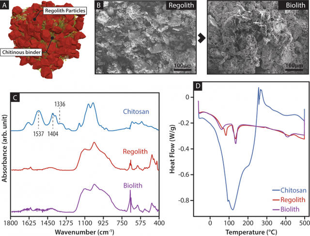 甲壳素或能成为火星旅行者建造基地的关键材料