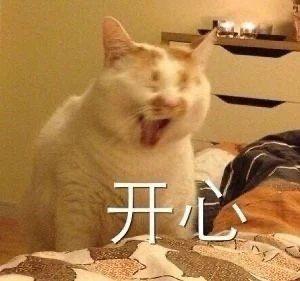 日本要开放了？谨慎乐观、静观其变