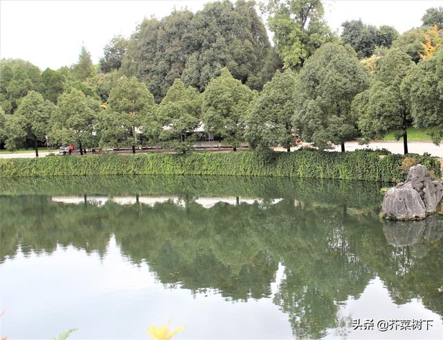 胖胖的躯壳里，住着一个酸酸的瘦子