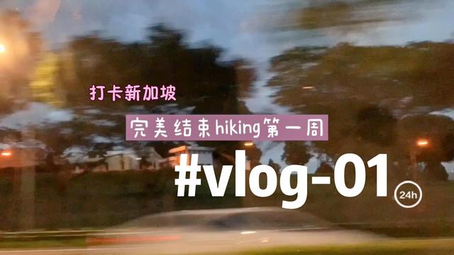 打卡新加坡的四条Hiking路线｜麦里芝蓄水池｜双溪布落湿地保护区