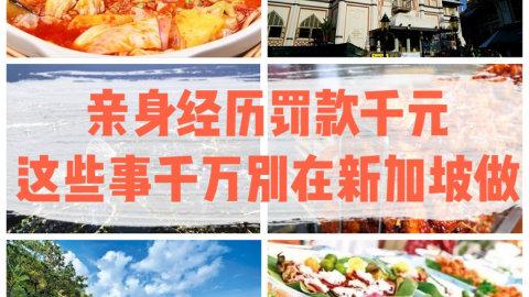 新加坡🇸🇬这事千万别做 要不然罚款到哭😭
