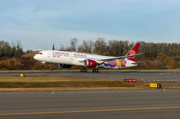 十一长假，国内民航出行或创历史新高！国外这些航空公司却推出了无目的地航班，坐几小时飞回原地