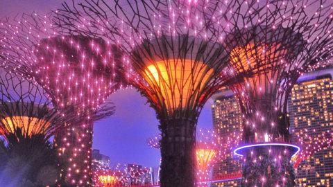✨超梦幻 新加坡滨海湾花园🌟最佳入园时间⏰