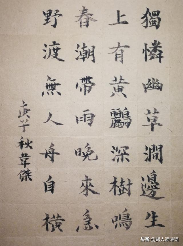 「书写经典」第7期——唐·韦应物《滁州西涧》