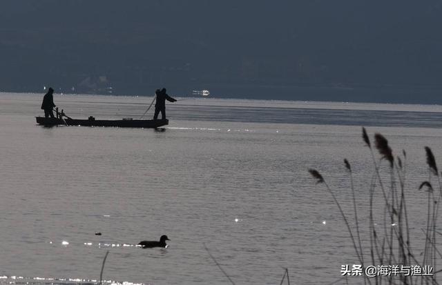 黄河鲤·长江鲫·全国一条大草鱼