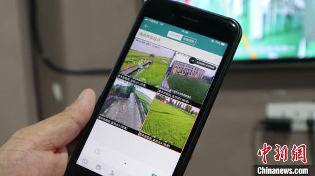 吉林实现“北地南种”：可视化农业受青睐