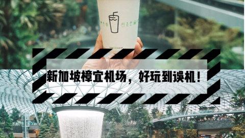 新加坡樟宜机场，逛吃买差点好玩到误机？
