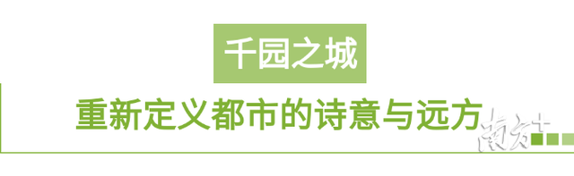 特区风华㉒|公园从2个到千个，身边就是诗意与远方