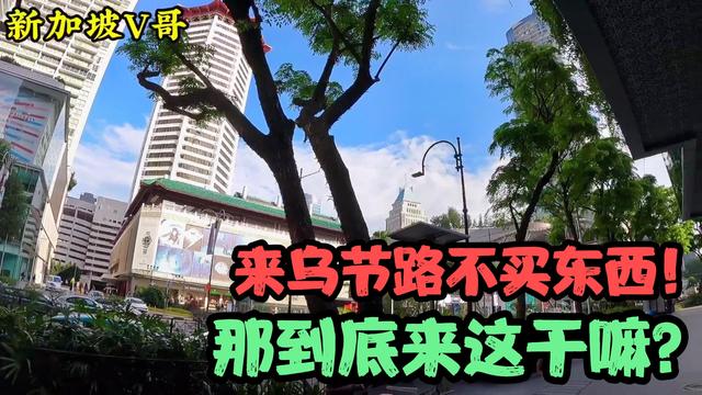 新加坡V哥的物流团队，到底在乌节路忙什么呢？还是喜欢吃炸的