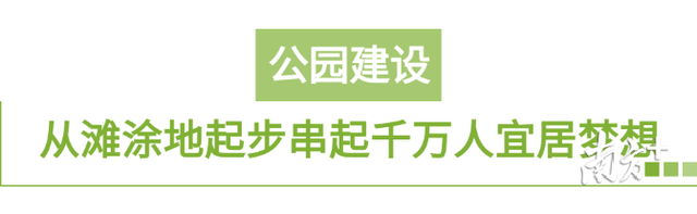 特区风华㉒|公园从2个到千个，身边就是诗意与远方