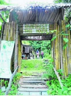 菜菜东南亚游之马来西亚 柔佛埔莱山区 拥抱雨林的树屋