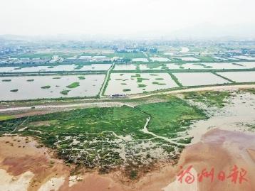 透视项目建设 解码滨海新城