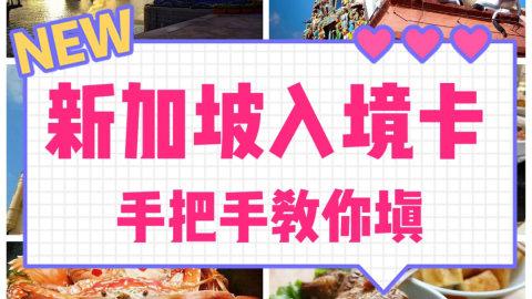 超详细🔎全攻略填写新加坡🇸🇬出入境卡