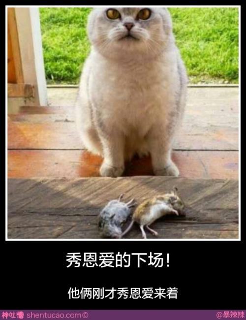 你不知道的国家冷知识（秀恩爱的注意了）