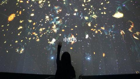 新加坡之旅（9天）