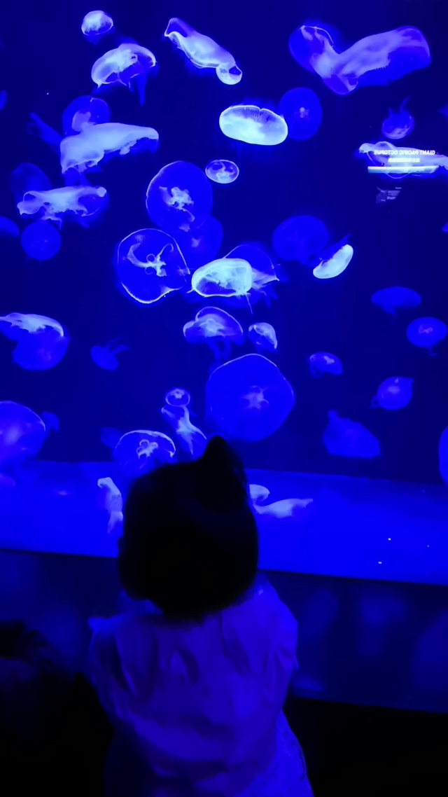 新加坡的海洋馆