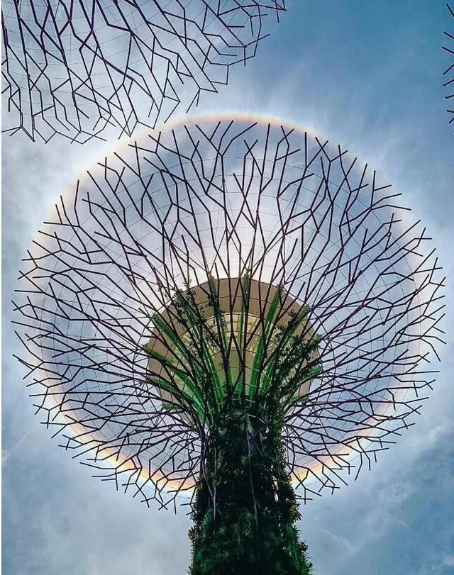 新加坡上空现“索伦之眼”，只是美的有点犯规