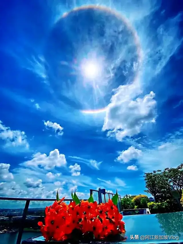 新加坡出现奇观，中秋节前夕出现这样的景象，难道疫情快结束了吗