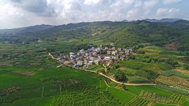 “诗与远方”在象州之三十九：古琶村与古琶茶