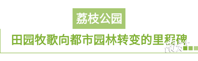 特区风华㉒|公园从2个到千个，身边就是诗意与远方