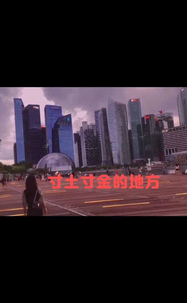 新加坡美丽夜景🌃