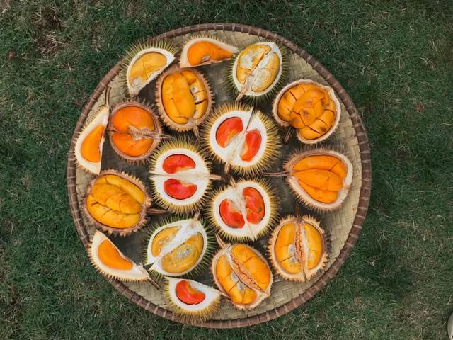 中国吃水果最多的男人