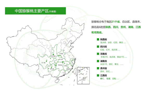 卫星下的丰收好味道：为什么苍溪红心猕猴桃这么“红”