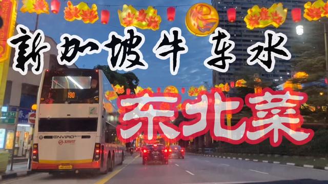 新加坡最受欢迎的东北菜，东北的朋友来看看正不正宗啊