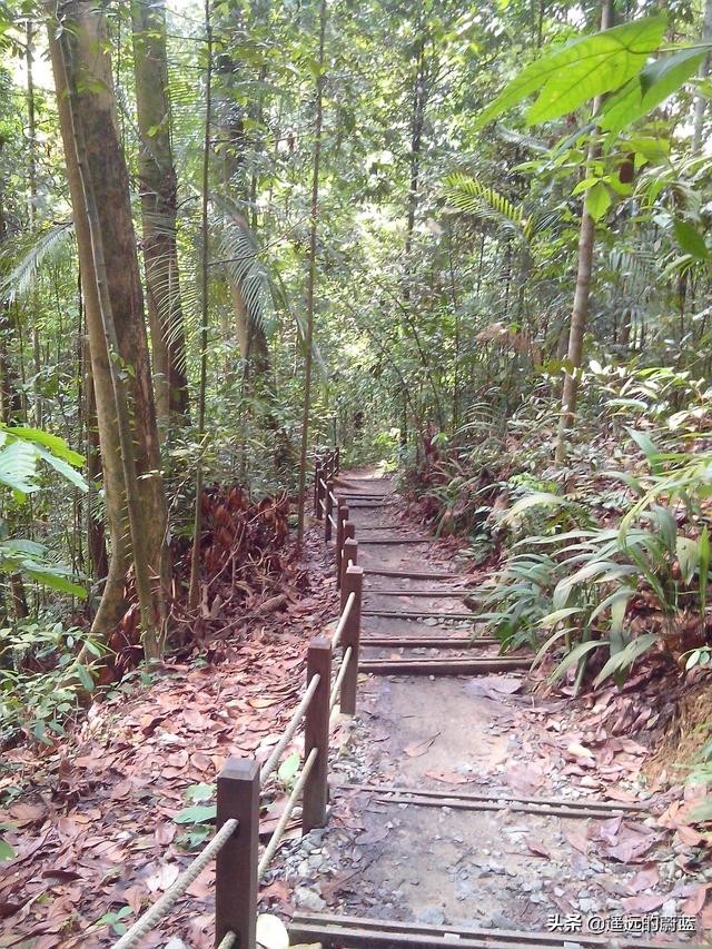 那年，在新加坡，我被马六甲海峡的船舶震撼了