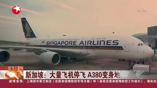 新加坡：大量飞机停飞  A380变身地面餐厅