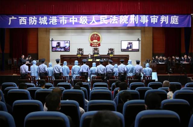 走私百吨冻肉、非法收购运输珍贵动物制品，这些人在广西法院受审获刑