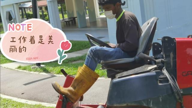 新加坡经常看到长得黑瘦的城市美容师，劳动光荣，工作着是美丽的