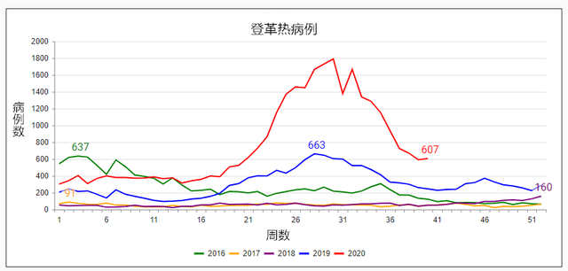 假期归来，赶紧看看它们有无在家安营扎寨