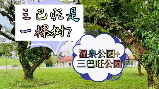 新加坡天气热到爆居然会有温泉？黑白屋你见过吗？