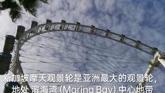 新加坡摩天轮🎡