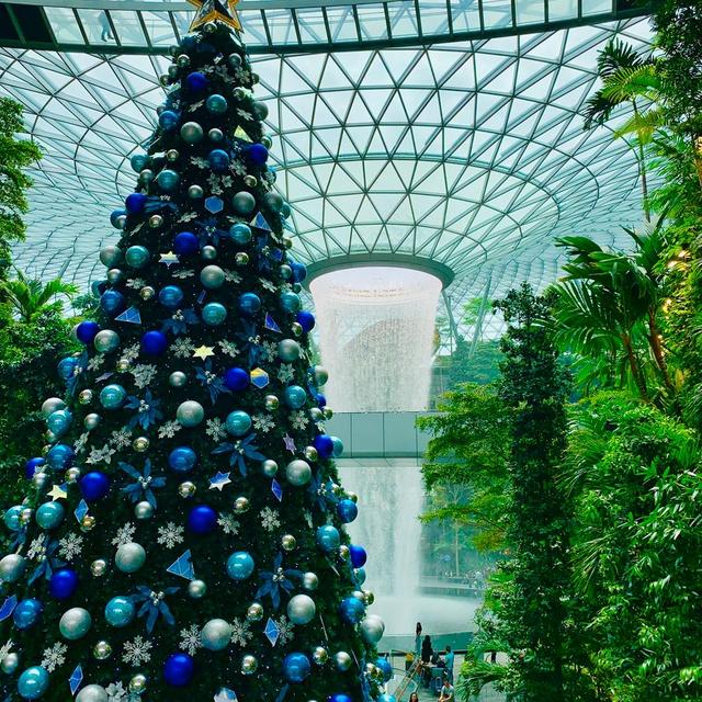 新加坡，机场和树洞